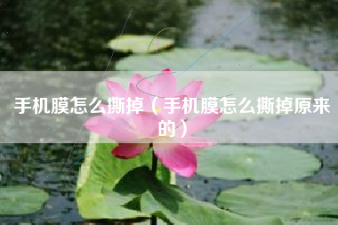 手机膜怎么撕掉(手机膜怎么撕掉原来的)