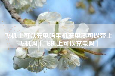 飞机上可以充电吗手机充电器可以带上飞机吗「飞机上可以充电吗」